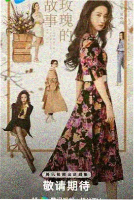 红烧甲鱼的做法视频教程
